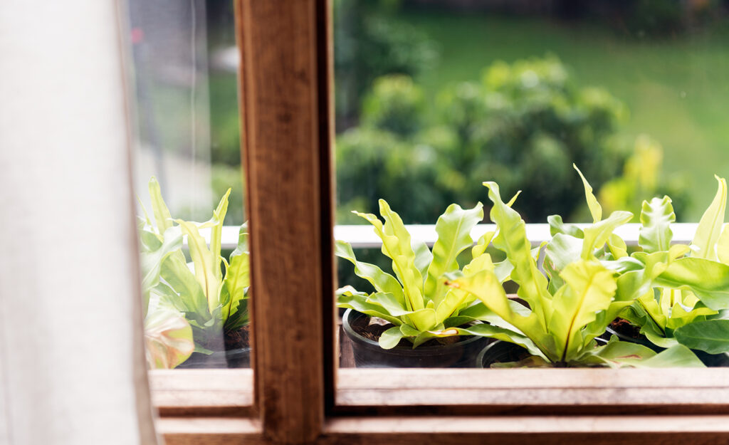 patio enclosures sunrooms